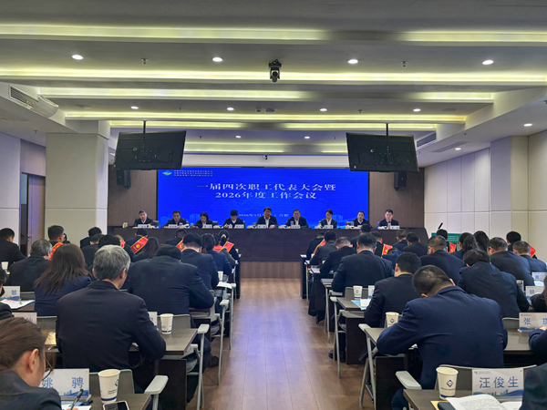 省垣市更新集团等三家公司召开一届四次职工代表大会暨2026年度事情聚会