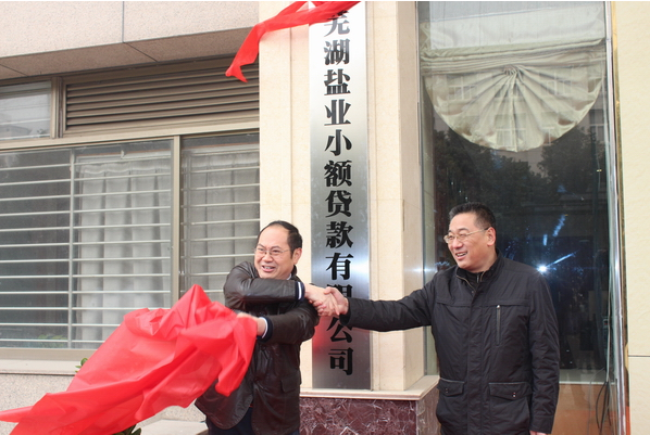 芜湖beat365小额贷款有限公司12月26日举行开业庆典