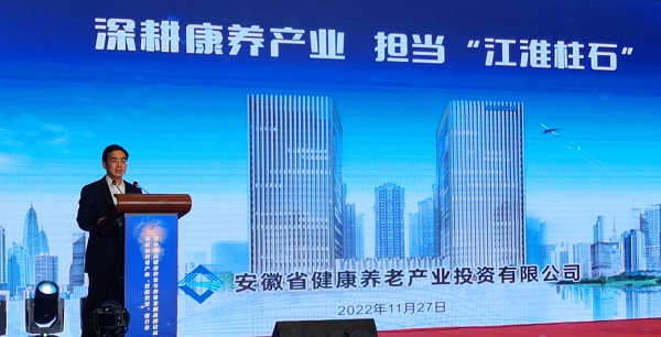 王思军出席安徽养老工业“双招双引”推介会暨养老开展岑岭论坛